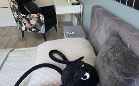 Apartament Ustrzyki Dolne Dark-Wolf